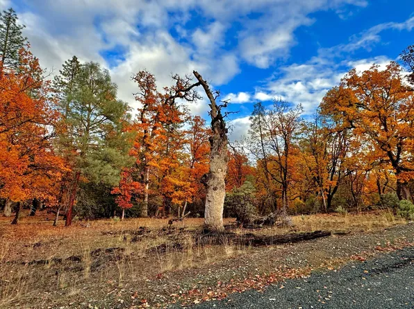 111 Oliva Dr, Hayfork, CA 96041