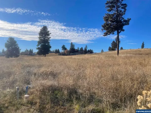 45 & 46 Deerview Ct, Chiloquin, OR 97624