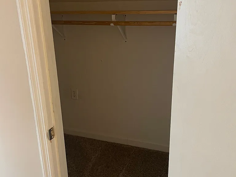 Bonus bedroom closet