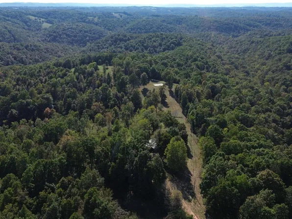 307 Bammy Dr, Harriet, AR 72639