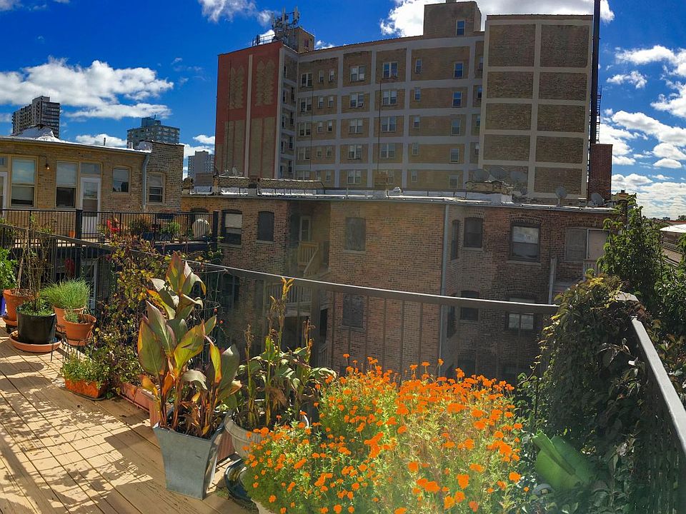 1st image of 1109 W Ardmore Ave APT 1