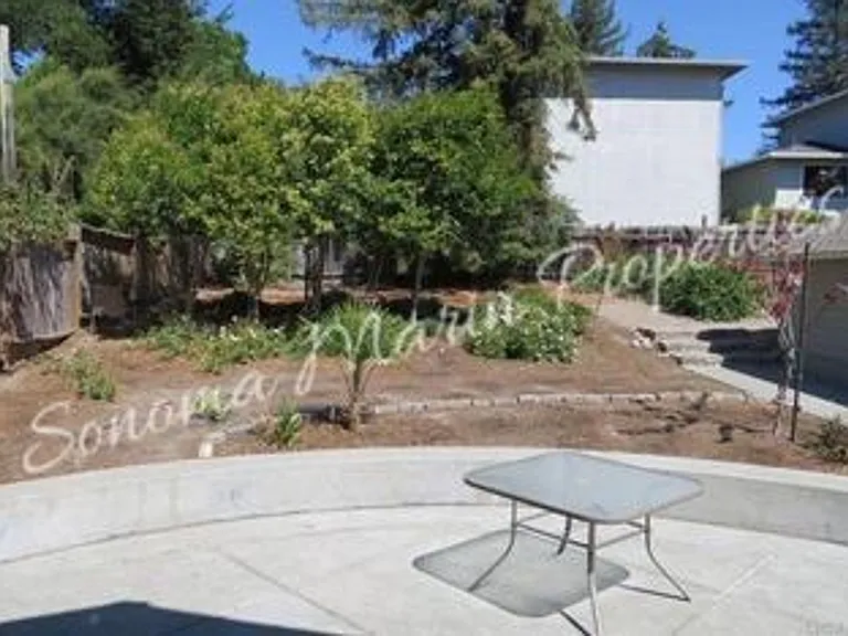 314 Bodega Ave — Photo 5