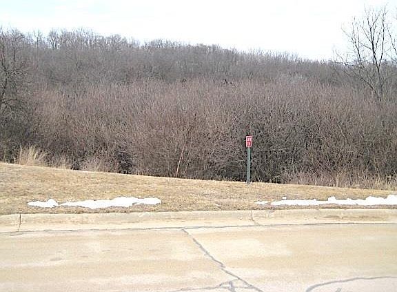 5th image of Lot 16 Ohmer Ridge Subdivision #16