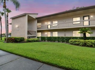 204 Mary Dr, Oldsmar, FL 34677