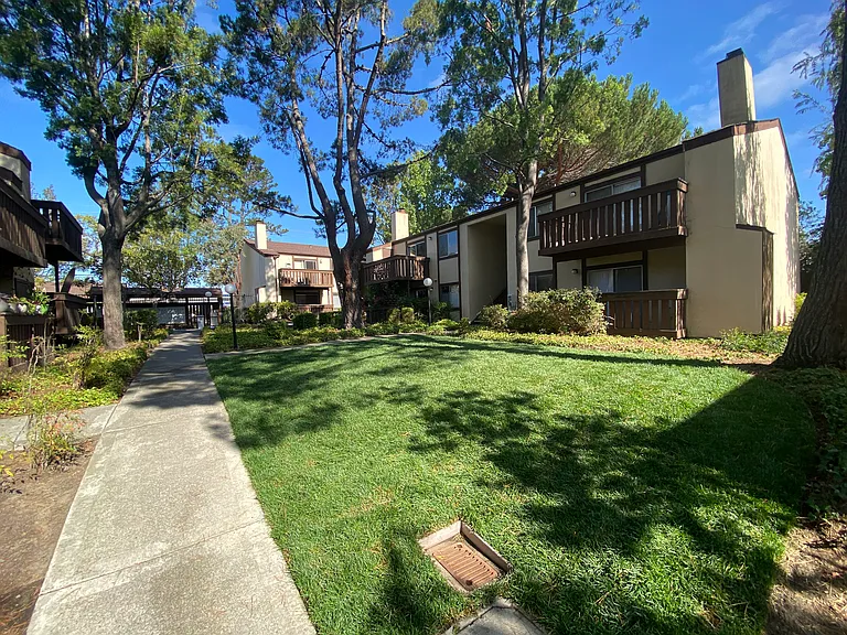 Shadow Creek — Photo 21