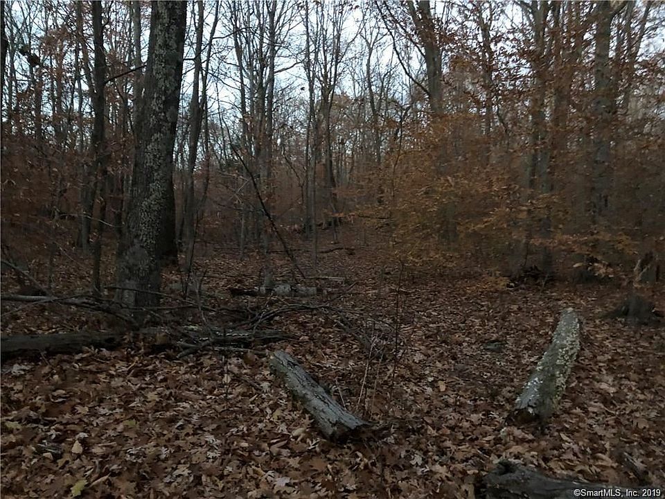 2nd image of 91 Forest Glen Dr