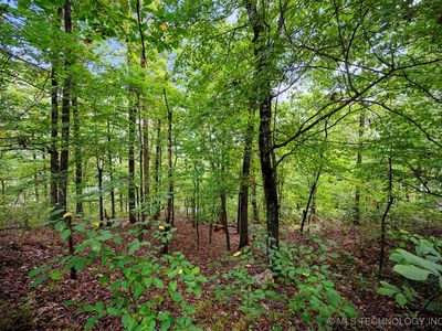 493 Moonshiners Springs Trl, Broken Bow, OK, 74728