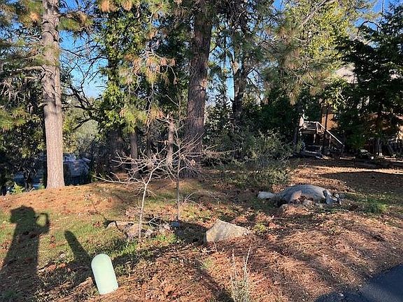 4th image of 1238 Canyon Ridge Ct