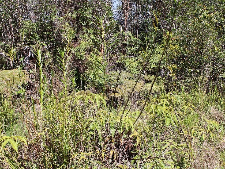 1st image of Road 10 Lot 591