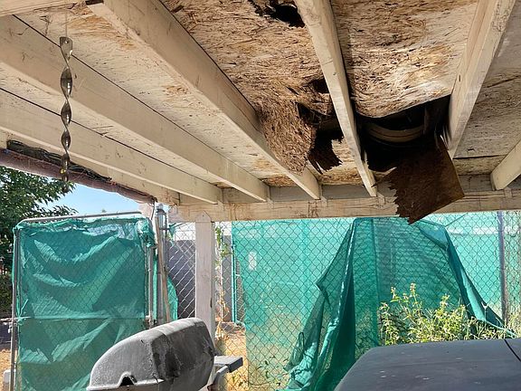 4th image of 2704 E BRAMBLE Avenue