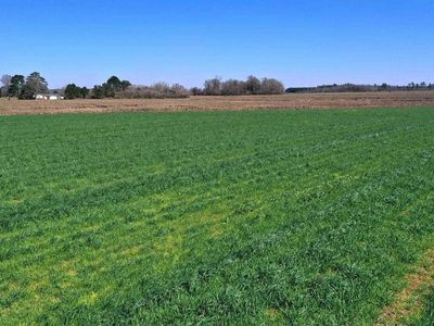11 McCullough Rd, Atmore, AL, 36502