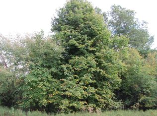 7980 Cascade Rd SE, Ada, MI 49301