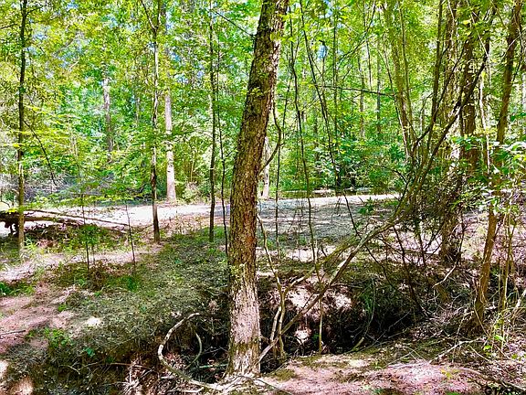 3rd image of 794 County Road 3905
