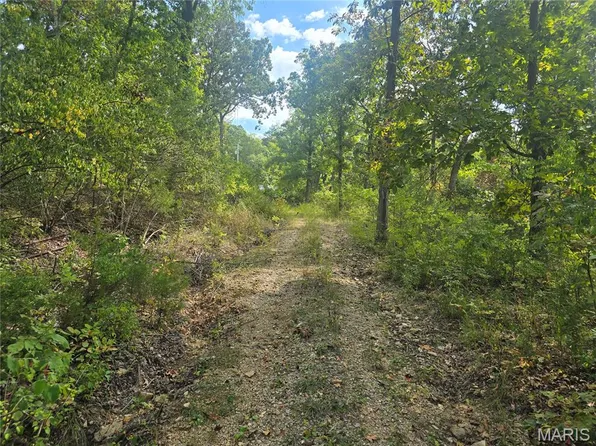 8607 John McKeever Rd, Pacific, MO 63069