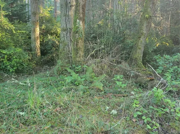 11920 Country Club Drive, Anderson Island, WA 98303