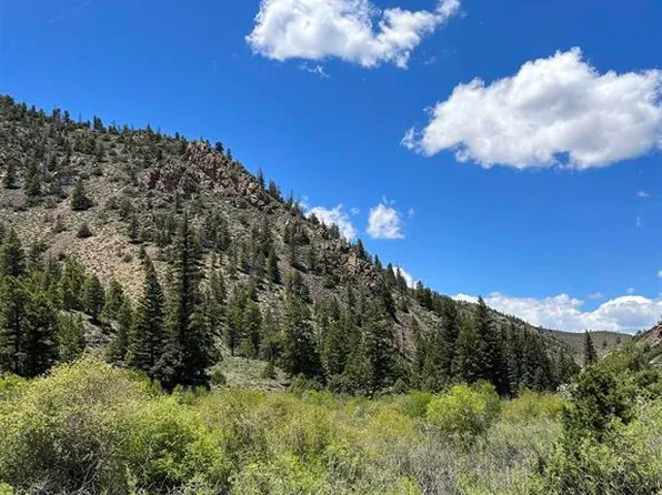 TBD BLM RD 3003, Powderhorn, CO 81230