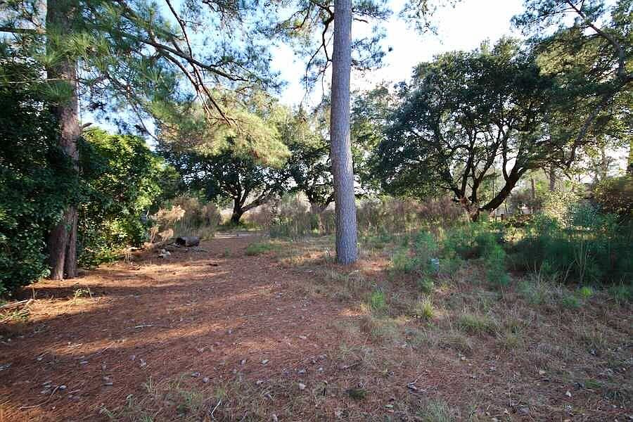 1st image of 1242 Wisteria Dr