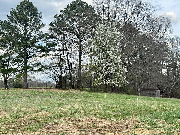 2nd image of TRACT 2 Mount Pleasant Rd