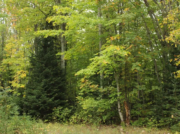 0 County Rd #H58, Grand Marais, MI 49839