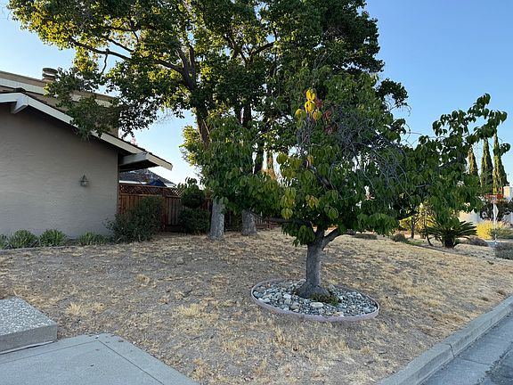 2nd image of 13055 La Vista Dr