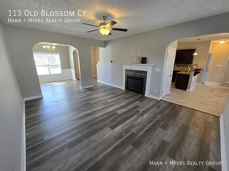 113 Old Blossom Ct — Photo 10
