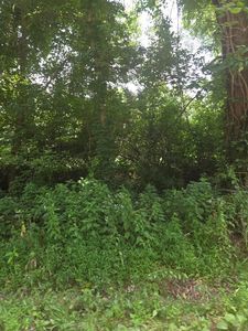 206 Old Villa Ridge Rd, Mounds, IL, 62964