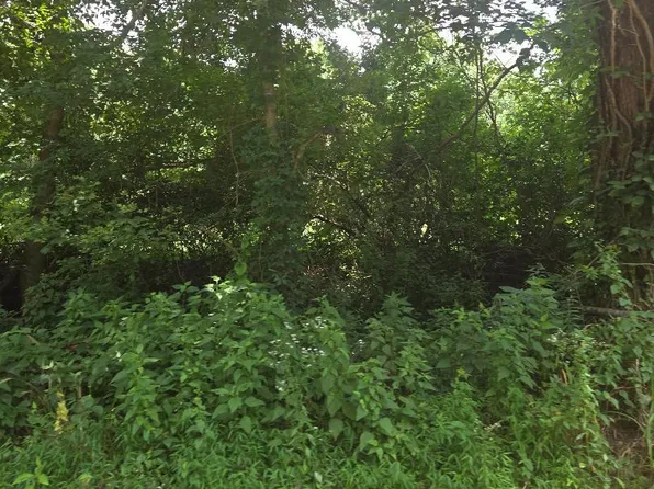 206 Old Villa Ridge Rd, Mounds, IL 62964