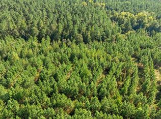 50 S Holland Trl LOT 263, Broken Bow, OK 74728