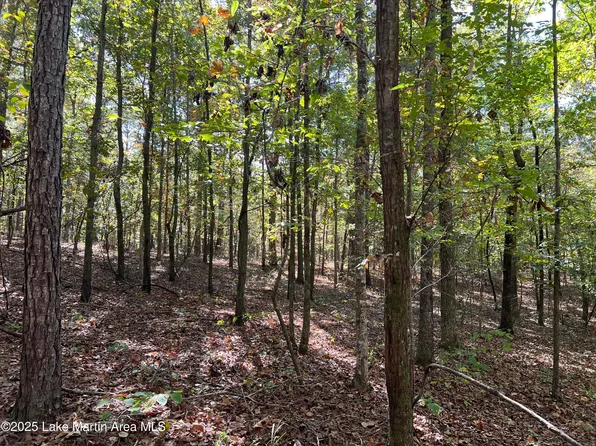 51 Long Leaf Way, Dadeville, AL 36853