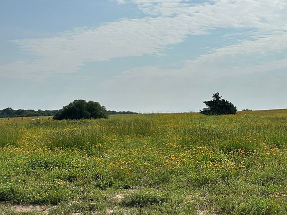 3rd image of 19170 Highway 7 W