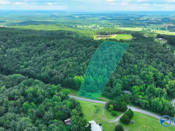 1454 N Pleasant View Rd, Falkville, AL 35622