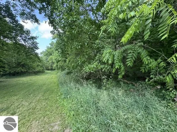 N Lincoln St, Stanton, MI 48888