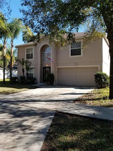 1132 Sea Eagle Ave, Groveland, FL, 34736