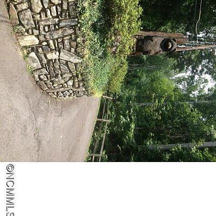 2nd image of 135 Orchard Dr