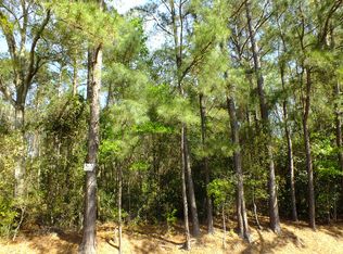 Tbd Amaryllis Dr, Westlake, LA 70669