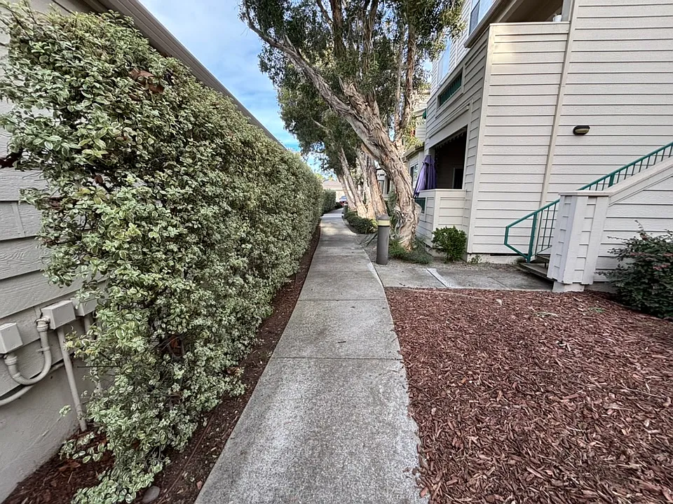 Sidewalk to unit.