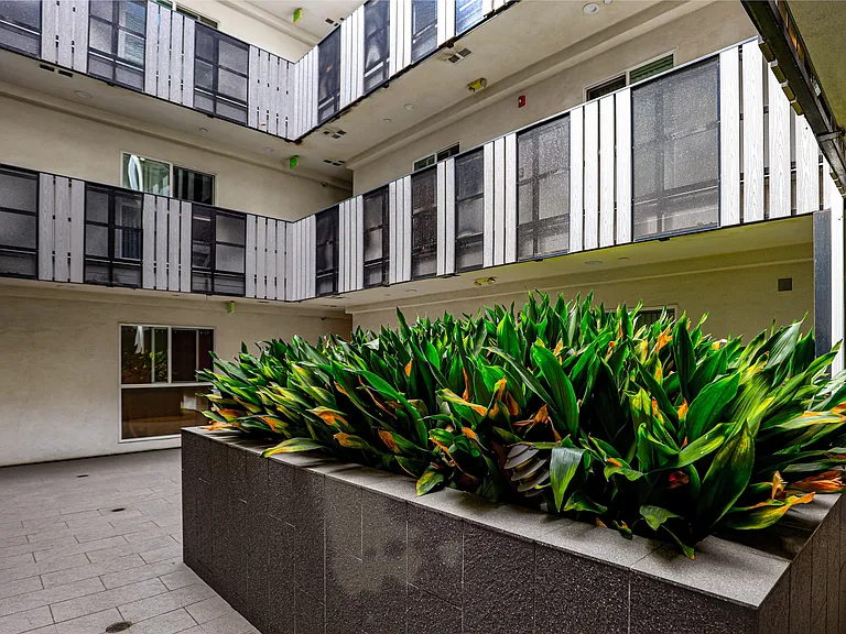 Courtyard Area