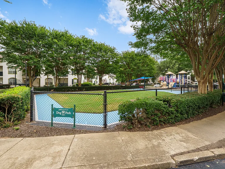 Savannah Creek — Photo 37