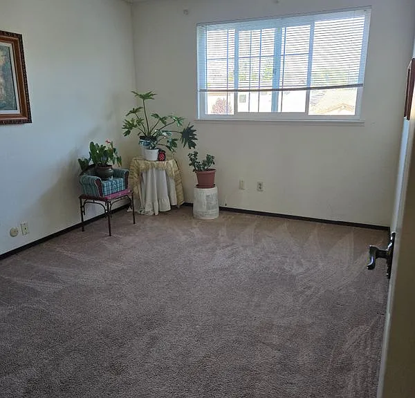 5001 Fern Pl #ROOM — Photo 6