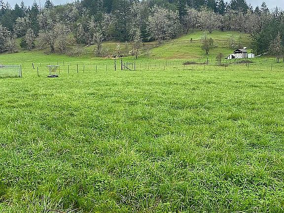 field in back, mountain view