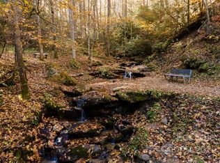 99999 Chandra Ln, Clyde, NC 28721