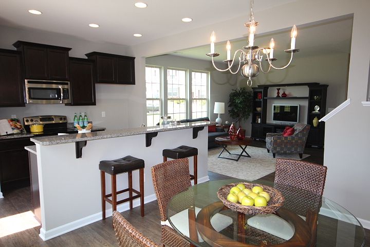 Photos of model home.