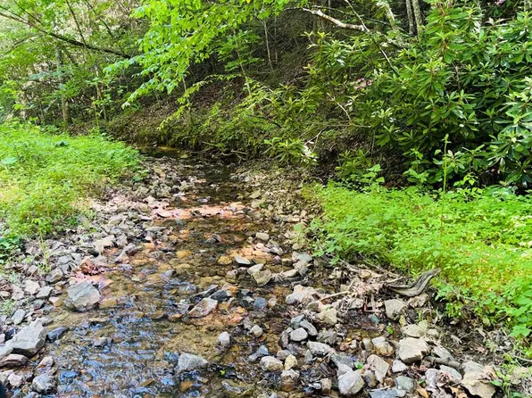 Tbd Pleasant View Rd, Austinville, VA 24312