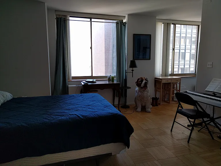 236 E 47th St #24D — Photo 6
