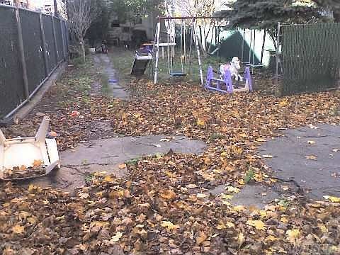 5th image of 8519 124th St