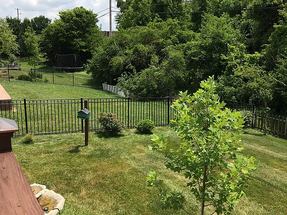 Part of back yard