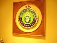 1st image of 38 Boca Royale Blvd