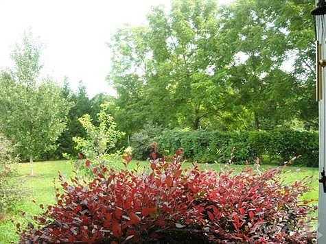 Two acre site with many flowers and fruit trees