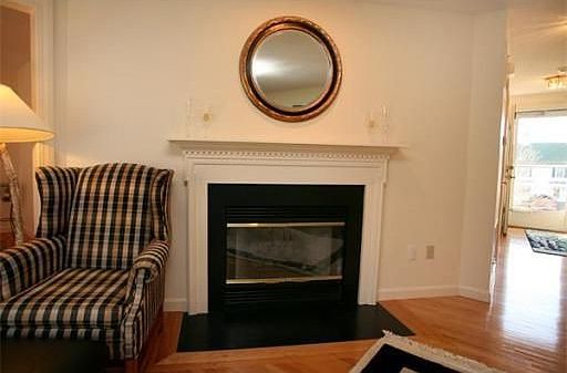 View of Gas Fireplace in Living Room