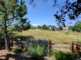3325 Falling Star Pl, Castle Rock, CO 80108